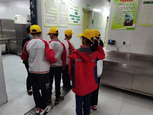 校多部门联合检查，提升餐饮服务质量