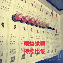 深圳餐饮服务 融合、创新与城市脉搏