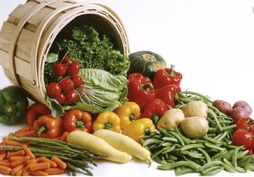 上海宝山至天津专业冷链配送服务指南，助力餐饮企业高效运营