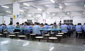 餐饮服务供应信息 品质与效率的双重保障